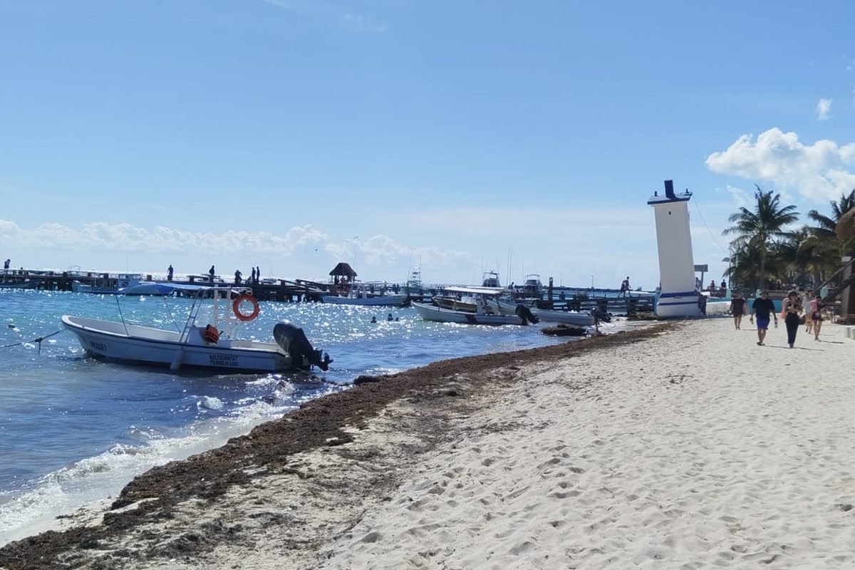Récif corallien et poissons tropicaux à Puerto Morelos